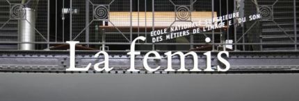 femis big